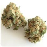 Шишки "White Widow" (Белая вдова) Гидропоника - Бошка VHQ в Нерюнгри Шишки "White Widow" (Белая вдова) Гидропоника - Бошка VHQ в Нерюнгри